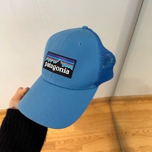 Patagonia Blue Logo Trucker Hat
